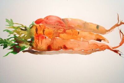 Ideas for when You Don't Know What to Paint or Draw