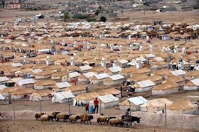 Over 755,000 Syrian refugees in Lebanon