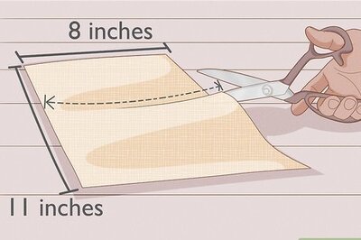 How to Sprout Seeds on a Paper Towel