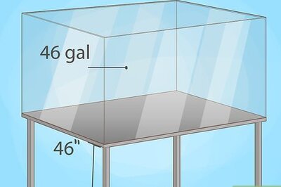 How to Grow Coral in an Aquarium