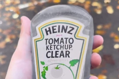 What's Transparent Tomato Ketchup, The Latest In ‘Snackfish’ Saga