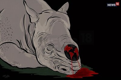 Over 9,000 Arrested for Wildlife Poaching between 2012-2018, Says Environment Ministry