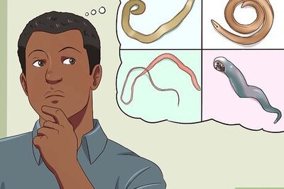 How to Treat Worms in Dogs