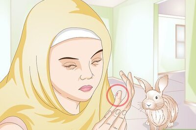 How to Calm a Vicious Rabbit