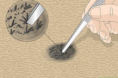 How to Get Burn Marks Out of Carpet