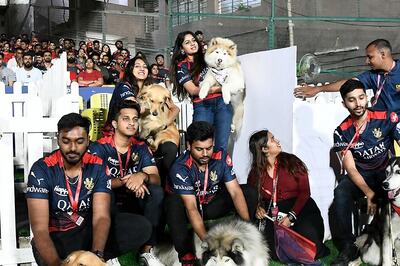 Royal Challengers Bangalore Share Unique Plan to Celebrate National Pet Day