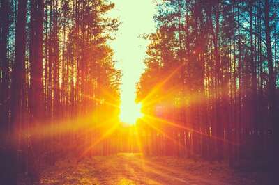 Aaj Ka Panchang, February 12, 2024: Tithi, Vrat, and Today’s Shubh, Ashubh Muhurat