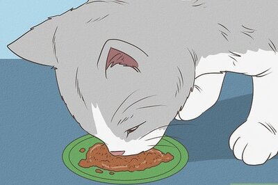 How to Lower the pH of Cat Urine