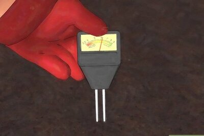 How to Fertilize Lantana