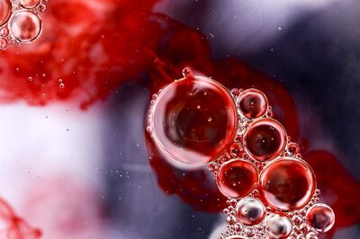 World Hemophilia Day 2023: Why Is Hemophilia Common In Male Child?