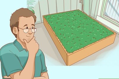 How to Build an Outdoor Dog Potty Area on Concrete in 12 Easy Steps