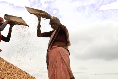 World Food Prices Hit New 10-year High in October, Says The Food and Agriculture Organization