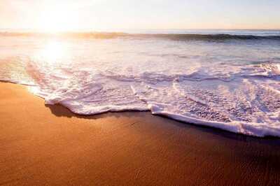 Tamil Nadu Announces Curbs on New Year Celebrations, Bans Public Gatherings in Beaches