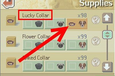 How to Get a Jack Russell Terrier Book on Nintendogs