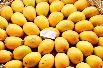 European Union lifts ban on import of Indian mangoes