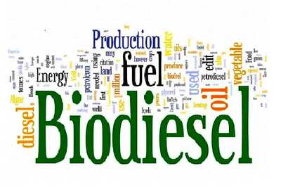 Delhi-Based BioD Sells Over 10 Million Litres of Biodiesel Within First Year of Operation