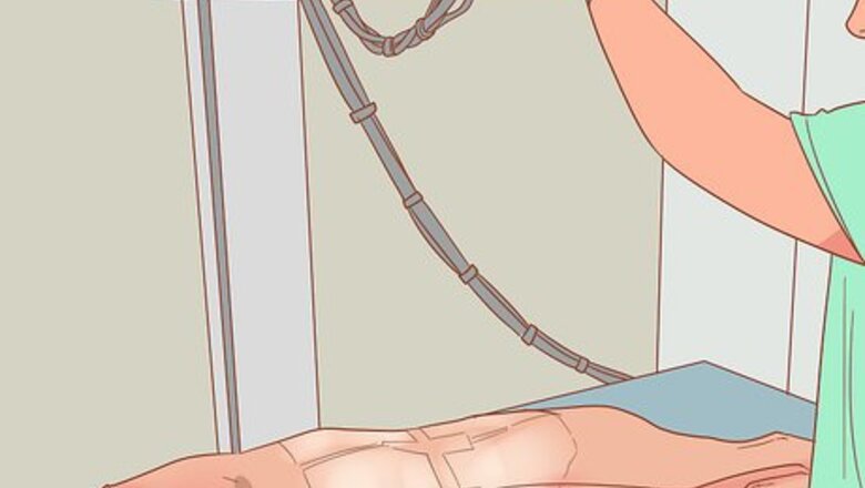 How to Deal with a Dog Pregnancy