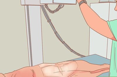 How to Deal with a Dog Pregnancy