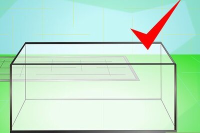 How to Make a Millipede Habitat