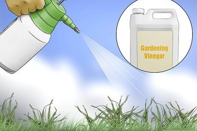 How to Get Rid of Crabgrass