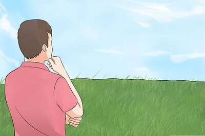 How to Grow an Apple Tree