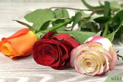 How to Preserve Flowers in a Jar