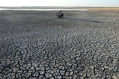 Climate Change May Have Had 'Key Role' in Covid-19 Pandemic, Shows Study