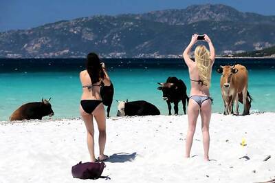 Swimwear Trends To Look Out For This Year