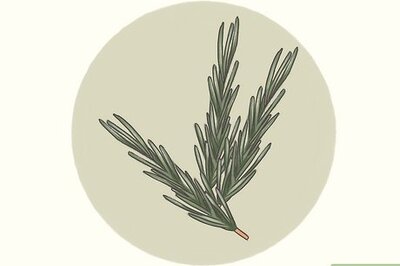 A Guide to Benefits of Rosemary: Magical, Medical & More