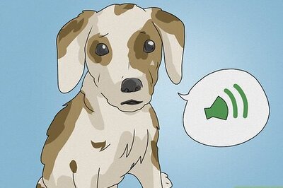 Whimpering: What Does It Mean and How Do You Do It?