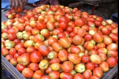 Tomato prices skyrocket, reach Rs 80 per kg in Delhi