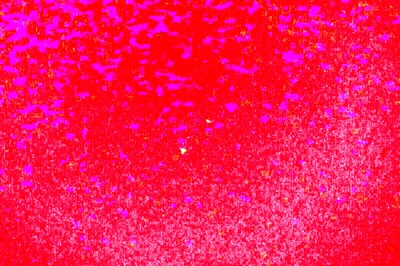 Jupiter and Saturn 'Merge' in Rare Celestial Event That Took Place After 400 Years