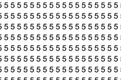 Optical Illusion: Spot The Hidden Alphabet In This Picture In 5 Seconds