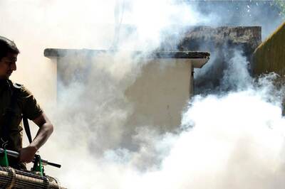 Bugged by Mosquito Menace, 70% Citizens Blame Local Bodies