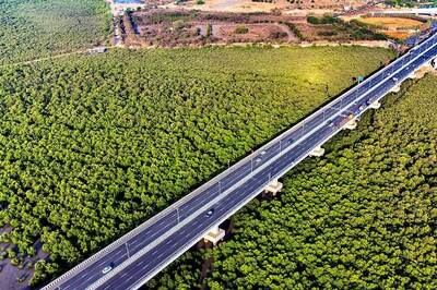 Over 600 CCTV Cameras to Keep an Eye on Mumbai’s Mangrove Cover Across 195 Eco-Sensitive Zones