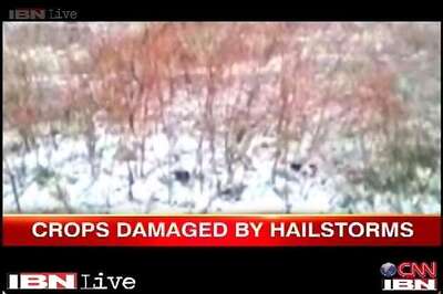 Rains paralyse normal life in India, damage crops worth crores