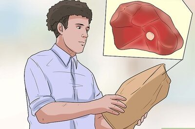 How to Care for Bernese Mountain Dogs