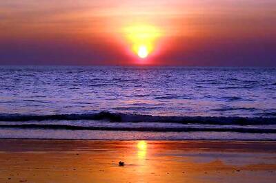 Goa invites neighbour states to join its carnival