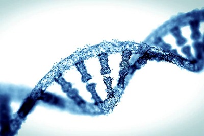 World's First Gene-Altered Babies May Die at Young Age: Study