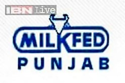 Milkfed Punjab hikes curd, cheese prices