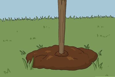 How to Build a Temporary Sundial