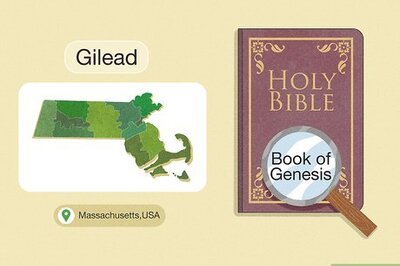 How to Study the Novel the Handmaid's Tale