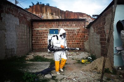Zika virus may infect, kill human brain stem cells