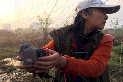 Flying Squad: With Drones and Machetes, China's Green Vigilantes Combat Bird Poachers