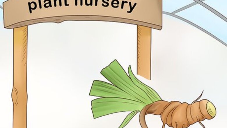 How to Grow Orris Root