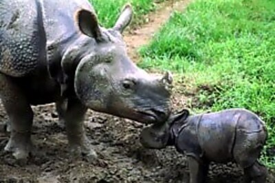 A new restructuring plan for zoos