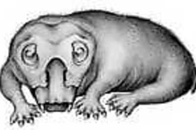 Mammal-like Triassic Creature Beat Polar Winters By Hibernating