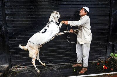 Clerics Appeal Not to Post Photos or Videos of Eid-ul-Azha Sacrifice on Social Media