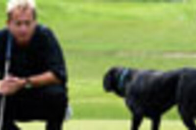 Photogallery: Animals on the pitch