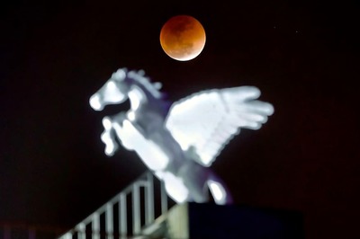 Trendy Ideas to Beautify Your Outdoor Space